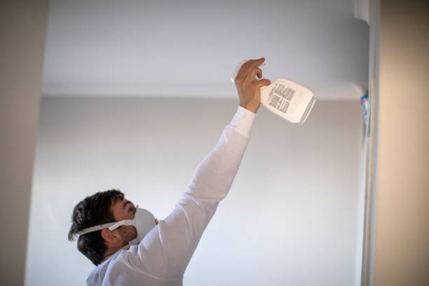 Best Affordable Mold Removal  in Lafayette, OR