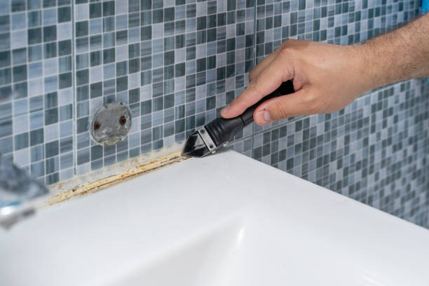 Best Mold Testing  in Lafayette, OR